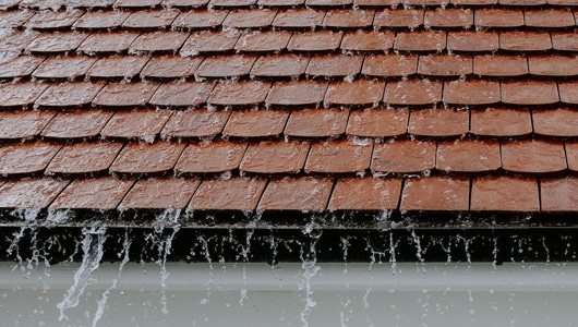 Roof Leaks